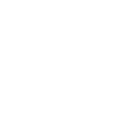 Delivery plan: scope, milestones, risks, dependencies, budget ranges